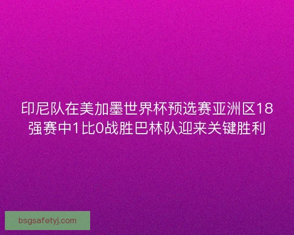 印尼队在美加墨世界杯预选赛亚洲区18强赛中1比0战胜巴林队迎来关键胜利